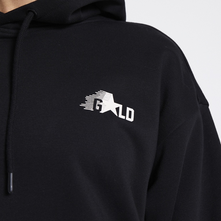 Heavy hoodie "Rex Hood" Black 2